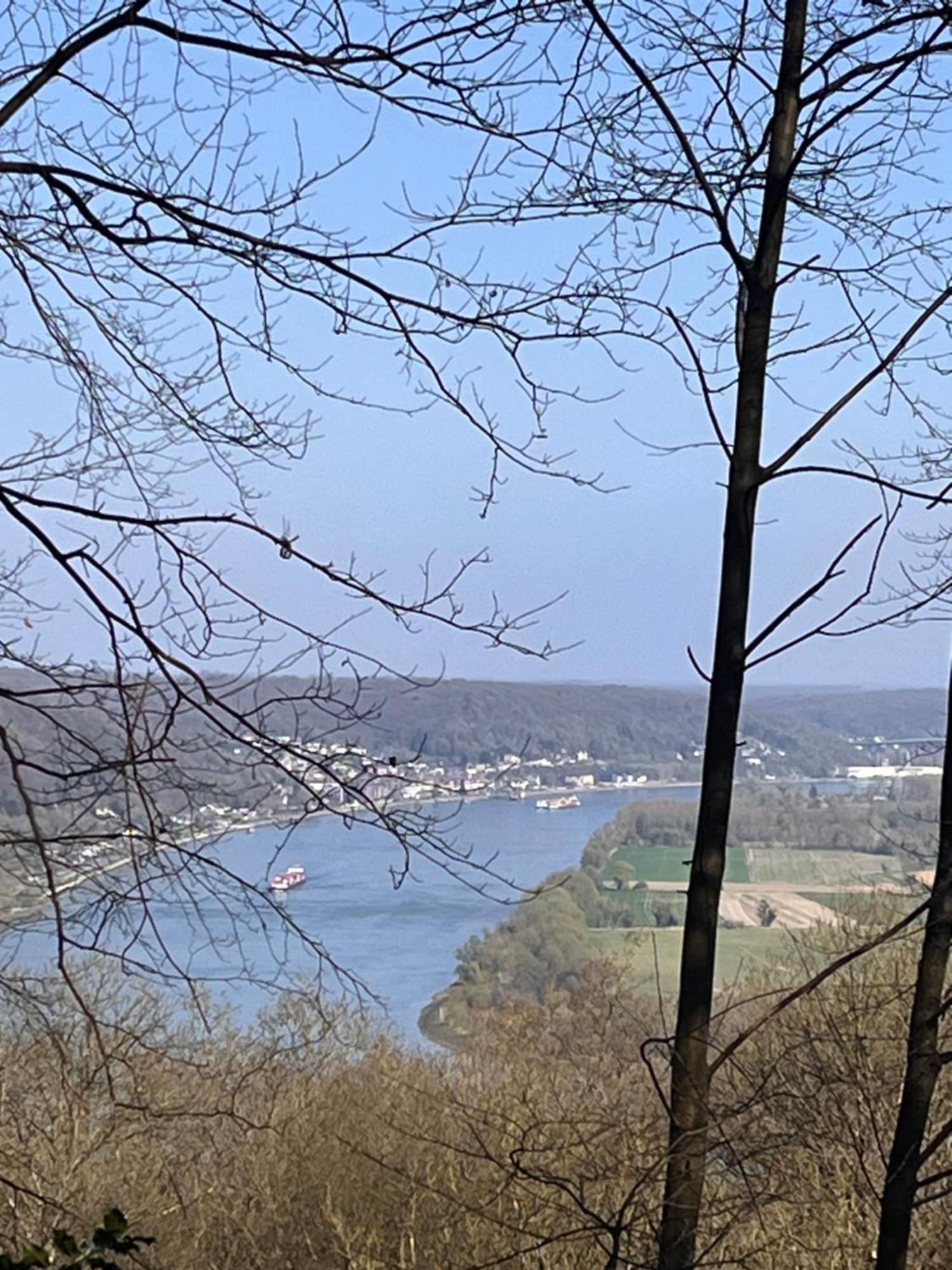 Gite La Fleur De Seine Villequier Екстер'єр фото
